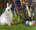 Белый кролик и пасхальные яйца